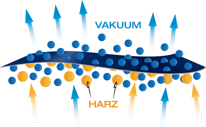 Membranfunktion