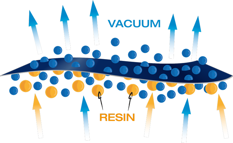 membrane function